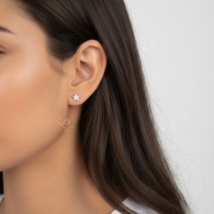 Brinco Estrela zircônia tradicional